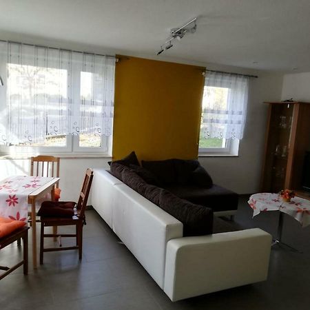 Ferienwohnung, Monteurwohnung Grossrohrsdorf Dış mekan fotoğraf